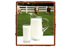 Laptele de vaca compozitie si substante nutritive