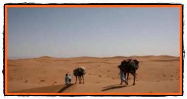 Lumea Desertului Neger din Israel si rezervatii naturale